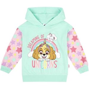 (2-3 Years) Paw Patrol Girls Hoodie (2-3 Years) Paw Patrol Girls Hoodie