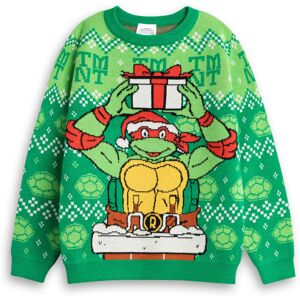 (5-6 Years) Teenage Mutant Ninja Turtles Christmas Jumper (Unisex Kids Green) (5-6 Years) Teenage Mutant Ninja Turtles Christmas Jumper (Unisex Kids Green)