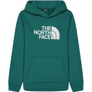 The North Face Boys Drew Peak Cotton Fleece Lined Relaxed Fit Hoodie The North Face Boys Drew Peak Cotton Fleece Lined Relaxed Fit Hoodie