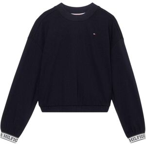 (16 Years, Desert Sky) Tommy Hilfiger Childrens/Kids Tape Crew Neck Jumper (16 Years, Desert Sky) Tommy Hilfiger Childrens/Kids Tape Crew Neck Jumper