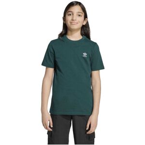 (13-14 Years, Green) Adidas Childrens/Kids Originals T-Shirt (13-14 Years, Green) Adidas Childrens/Kids Originals T-Shirt