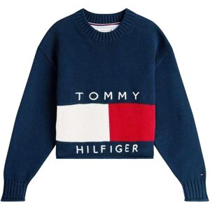 (12 Years, Night Navy) Tommy Hilfiger Childrens/Kids Heritage Boxy Jumper (12 Years, Night Navy) Tommy Hilfiger Childrens/Kids Heritage Boxy Jumper