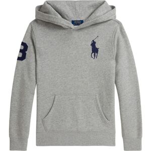 (4 Years, Grey) Ralph Lauren Childrens/Kids Pony Hoodie (4 Years, Grey) Ralph Lauren Childrens/Kids Pony Hoodie