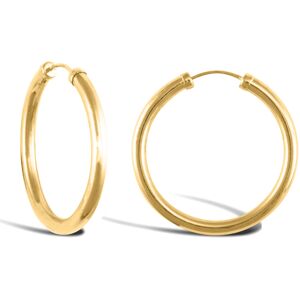 Jewelco London Ladies 9ct Yellow Gold Capped Sleeper 2.5mm Hoop Earrings 25mm - Jewelco London Ladies 9ct Yellow Gold Capped Sleeper 2.5mm Hoop Earrings 25mm -