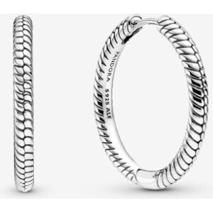 Unbranded (Moments Charm Hoop Earrings 299532C00) (Sparkling Pandora Logo Stud Earrings St Unbranded (Moments Charm Hoop Earrings 299532C00) (Sparkling Pandora Logo Stud Earrings St