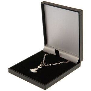 Tottenham Hotspur FC Silver Plated Boxed Pendant Tottenham Hotspur FC Silver Plated Boxed Pendant