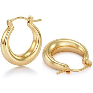 Unbranded Chunky Gold Hoop Earrings for Women with 925 Sterling Silver Post, 14K Gold Plat Unbranded Chunky Gold Hoop Earrings for Women with 925 Sterling Silver Post, 14K Gold Plat