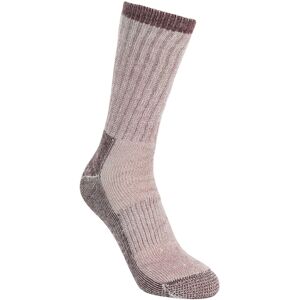 (6/9 UK, Fig Marl) Trespass Womens/Ladies Springer Hiking Boot Socks (1 Pair) (6/9 UK, Fig Marl) Trespass Womens/Ladies Springer Hiking Boot Socks (1 Pair)