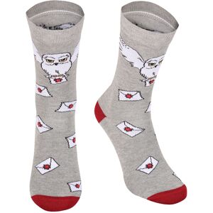 (S-M, Grey/Maroon/White) Harry Potter Unisex Adult Hedwig Hogwarts Letter Socks (S-M, Grey/Maroon/White) Harry Potter Unisex Adult Hedwig Hogwarts Letter Socks