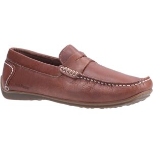 Hush Puppies (6 (Adults')) Roscoe Brown Mens Shoes Hush Puppies (6 (Adults')) Roscoe Brown Mens Shoes