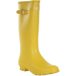 (7 UK, Maize Yellow) Regatta Womens/Ladies Ly Fairweather II Tall Durable Wellin (7 UK, Maize Yellow) Regatta Womens/Ladies Ly Fairweather II Tall Durable Wellin
