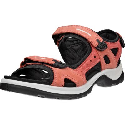 (6.5-7 UK (40EU), Burnt Coal) Ecco Womens Offroad Yucatan Outdoor Trail Walking (6.5-7 UK (40EU), Burnt Coal) Ecco Womens Offroad Yucatan Outdoor Trail Walking