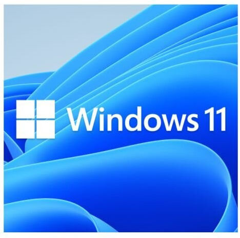 Microsoft Windows 11 Professional 64-Bit Oem Dvd Single Copy FQC-10528