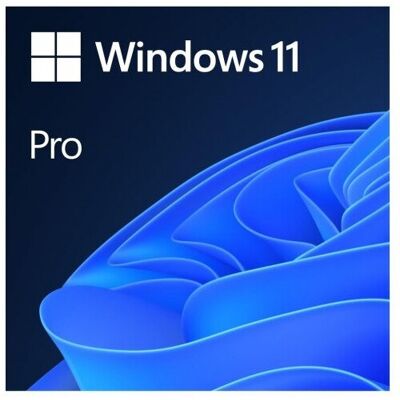 Microsoft Windows 11 Pro 1 license(s) Microsoft Windows 11 Pro 1 license(s)