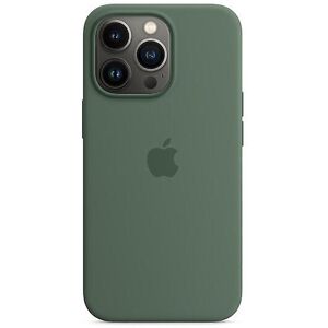 Unbranded (Eucalyptus) Silicone Phone Case Compatible With Iphone 13 Pro 13pro Unbranded (Eucalyptus) Silicone Phone Case Compatible With Iphone 13 Pro 13pro