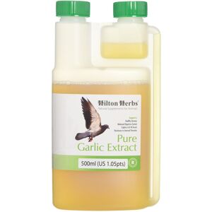 Hilton-Herbs Hilton Herbs Garlic Juice 500 ml - Supports Digestive Health, Parasite Resistanc Hilton-Herbs Hilton Herbs Garlic Juice 500 ml - Supports Digestive Health, Parasite Resistanc