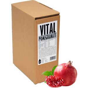 PRESSUICE Fresh Vital Pomegranate Juice not from concentrate 1 carton 3 liters PRESSUICE Fresh Vital Pomegranate Juice not from concentrate 1 carton 3 liters