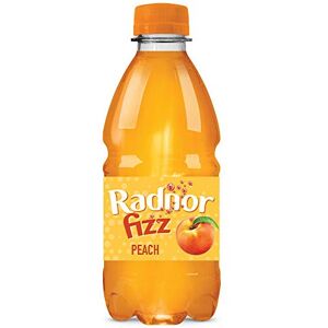 Radnor Hills Radnor Fizz Peach NO ADDED SUGAR Juice Drink 24 x 330ml Radnor Hills Radnor Fizz Peach NO ADDED SUGAR Juice Drink 24 x 330ml