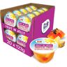 Dole Tropical Fruit in Jelly Fruit Pots 20 x 123g No Added Sugar Fruit