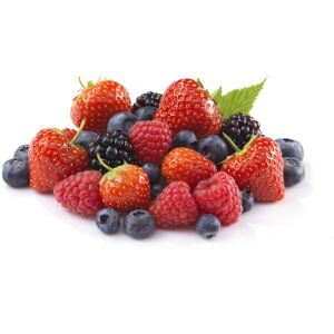 Greens Frozen Fruits of the Forest Mix - 1x2.5kg Greens Frozen Fruits of the Forest Mix - 1x2.5kg