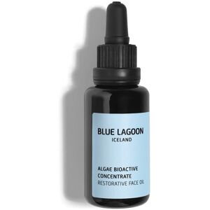 Belle-Azul Blue Lagoon - Algae Bioactive Concentrate Face Oil Sustainable Bioactive Icel Belle-Azul Blue Lagoon - Algae Bioactive Concentrate Face Oil Sustainable Bioactive Icel