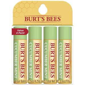 Burts Bees 100% Natural Origin Moisturizing Lip Balm Cucumber Mint with Beeswax Burts Bees 100% Natural Origin Moisturizing Lip Balm Cucumber Mint with Beeswax