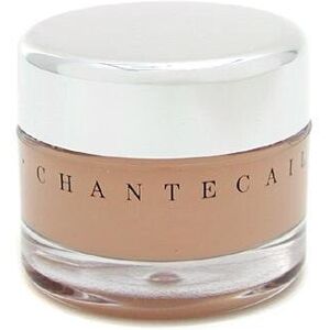 Chantecaille Future Skin Oil Free Gel Foundation Nude 1 Ounce Chantecaille Future Skin Oil Free Gel Foundation Nude 1 Ounce
