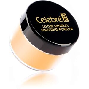 Mehron Makeup Celebre Loose Mineral Finish Powder (.42 ounce) (Medium/ Mehron Makeup Celebre Loose Mineral Finish Powder (.42 ounce) (Medium/