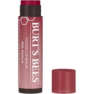 Burts Bees Tinted Lip Balm Red Dahlia 015 Ounce Burts Bees Tinted Lip Balm Red Dahlia 015 Ounce
