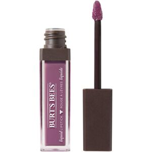 Burts Bees 100% Natural Glossy Liquid Lipstick Lavender Lake 1 Tube Burts Bees 100% Natural Glossy Liquid Lipstick Lavender Lake 1 Tube