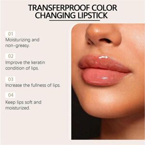Unbranded (2pcs) Transferproof Color Changing Lipstick, Warm Change Glossy Lip Gloss for W Unbranded (2pcs) Transferproof Color Changing Lipstick, Warm Change Glossy Lip Gloss for W