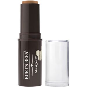 Burts Bees golden Shimmer All Aglow Bronzer Stick 032 OZ Burts Bees golden Shimmer All Aglow Bronzer Stick 032 OZ