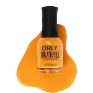 Orly Nail Polish Breathable Fall/Holiday Collection Spice it Up Nail Colors fo Orly Nail Polish Breathable Fall/Holiday Collection Spice it Up Nail Colors fo