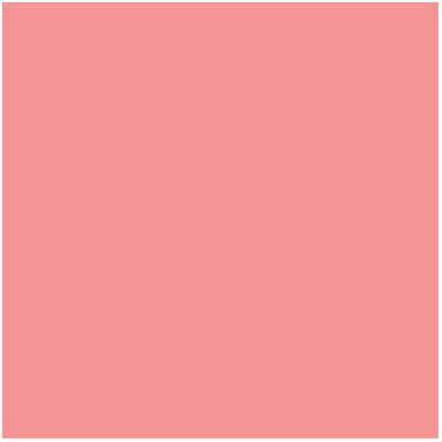 (110 Precious Posy) Clinique Blushing Blush Powder Blush 120 Bashful Blush 6g / (110 Precious Posy) Clinique Blushing Blush Powder Blush 120 Bashful Blush 6g /