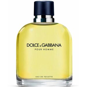 Men's Perfume Dolce & Gabbana EDT Pour Homme 125 ml Men's Perfume Dolce & Gabbana EDT Pour Homme 125 ml