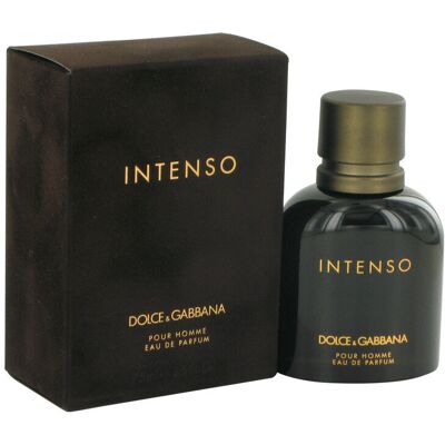 Dolce Gabbana Intenso - Woody Aromatic Fragrance 75ml Dolce Gabbana Intenso - Woody Aromatic Fragrance 75ml