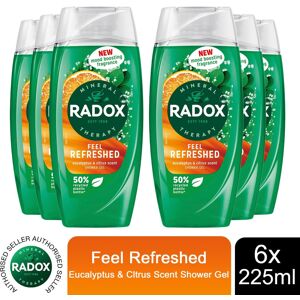 (Buy 6 - Feel Refreshed) Radox Mineral Therapy Shower Gel - 225ml (Buy 6 - Feel Refreshed) Radox Mineral Therapy Shower Gel - 225ml
