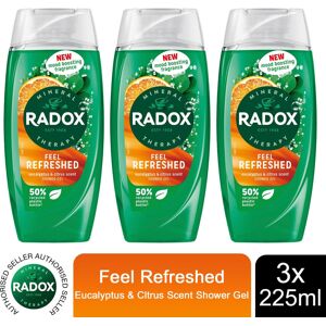 (Buy 3 - Feel Refreshed) Radox Mineral Therapy Shower Gel - 225ml (Buy 3 - Feel Refreshed) Radox Mineral Therapy Shower Gel - 225ml