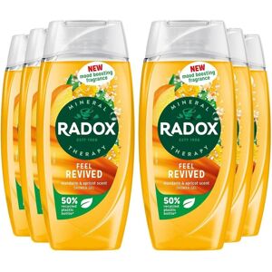 Radox Mineral Therapy Feel Revived Shower Gel 225ML (Pack of 6) Radox Mineral Therapy Feel Revived Shower Gel 225ML (Pack of 6)