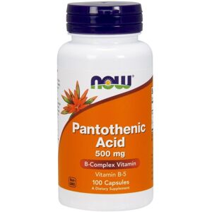 NOW Foods Pantothenic Acid B5 500mg - Dietary Supplement NOW Foods Pantothenic Acid B5 500mg - Dietary Supplement