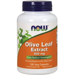 NOW FOODS Olive Leaf Extract 500 MG - Dietary Supplement NOW FOODS Olive Leaf Extract 500 MG - Dietary Supplement