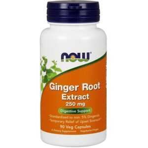 Now Foods Ginger Root Extract - 250 mg - Digestive Support Now Foods Ginger Root Extract - 250 mg - Digestive Support