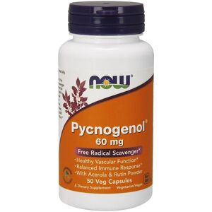 NOW Foods Pycnogenol 60mg - 50 Veg Capsules - Dietary Supplement NOW Foods Pycnogenol 60mg - 50 Veg Capsules - Dietary Supplement