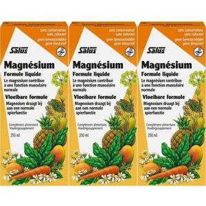 Floradix Magnesium Liquid Mineral Supplement 250ml (Pack of 3) Floradix Magnesium Liquid Mineral Supplement 250ml (Pack of 3)
