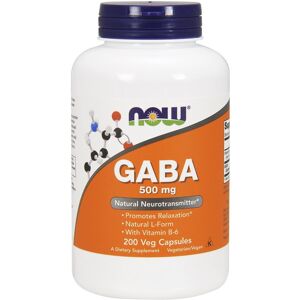 NOW Foods GABA 500 mg with Vitamin B-6 - Dietary Supplement NOW Foods GABA 500 mg with Vitamin B-6 - Dietary Supplement