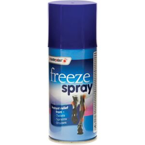 Masterplast Freeze Sprays Aerosol 150ml Masterplast Freeze Sprays Aerosol 150ml