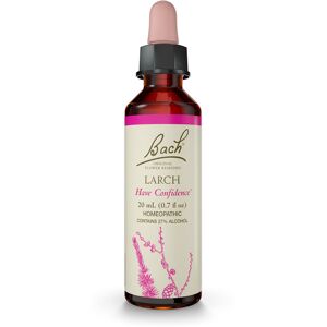 Bach Original Flower Remedies Larch for Confidence Natural Homeopathic Flower Bach Original Flower Remedies Larch for Confidence Natural Homeopathic Flower