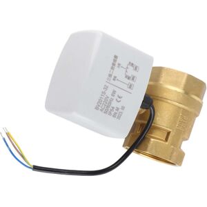 Unbranded AC220V DN50 2 Inch 2-Way Brass Electric Motorized Ball Valve Unbranded AC220V DN50 2 Inch 2-Way Brass Electric Motorized Ball Valve