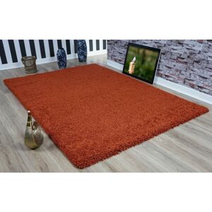 Caprican (60x110cm (2'x3'7"), Terracotta ) Modern Small Large Various Colours Shaggy Rug Caprican (60x110cm (2'x3'7"), Terracotta ) Modern Small Large Various Colours Shaggy Rug