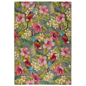 ORIENTAL WEAVERS (Tropical - Parrot, 160x235 cm) 3D Tropical Floral Outdoor Indoor Flatweave rugs ORIENTAL WEAVERS (Tropical - Parrot, 160x235 cm) 3D Tropical Floral Outdoor Indoor Flatweave rugs